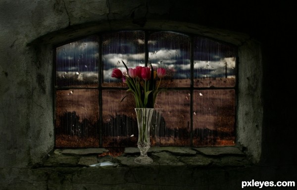 Flowers In The Window